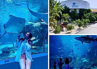 Antalya Aquarium Tour