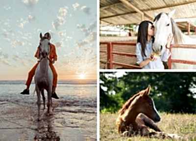Antalya Horse Riding