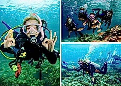 Bodrum Diving Tour