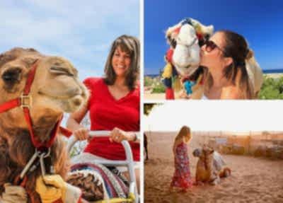 Fethiye Camel Riding