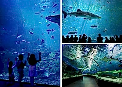 Kemer Antalya Aquarium