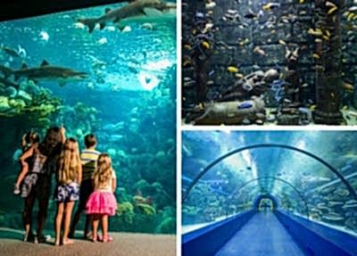 Manavgat Antalya Aquarium Tour