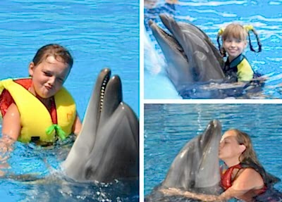 Manavgat Swimming with Dolphins