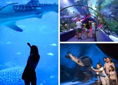 Side Antalya Aquarium Tour