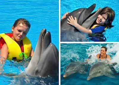 Swimming With Dolphins in Side